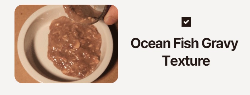 Ocean Fish in Gravy Texture.jpg